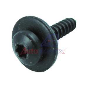 Parafuso torx 5,0x25 parachoque duster/sandero/master (PF10)